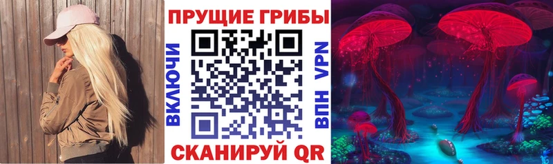 Галлюциногенные грибы MAGIC MUSHROOMS  Междуреченск 